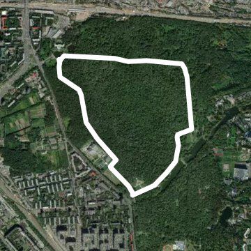 Ботанический сад (Москва)