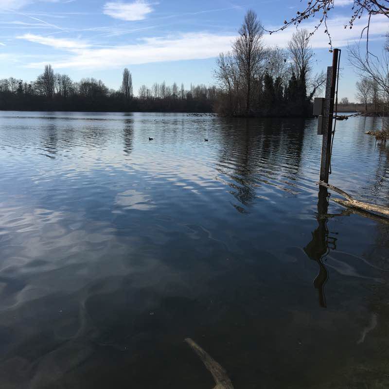 Triel and around walking route map in Triel-sur-Seine