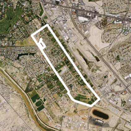 Riverbend/Emory Walkabout