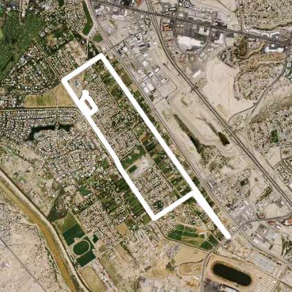 Riverbend/Emory Walkabout