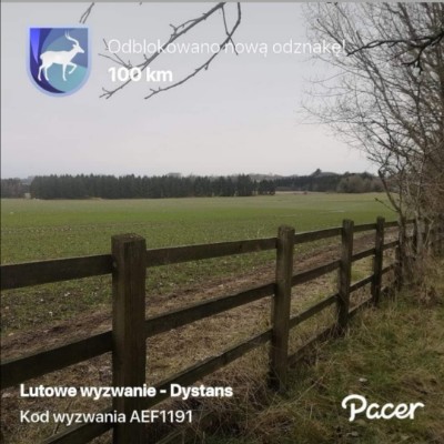 Anka Szamanka post 2