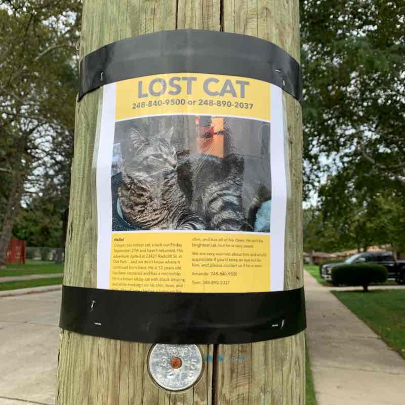 Weekend walk in the neighborhood, 10/5/19 walking route map in Ferndale