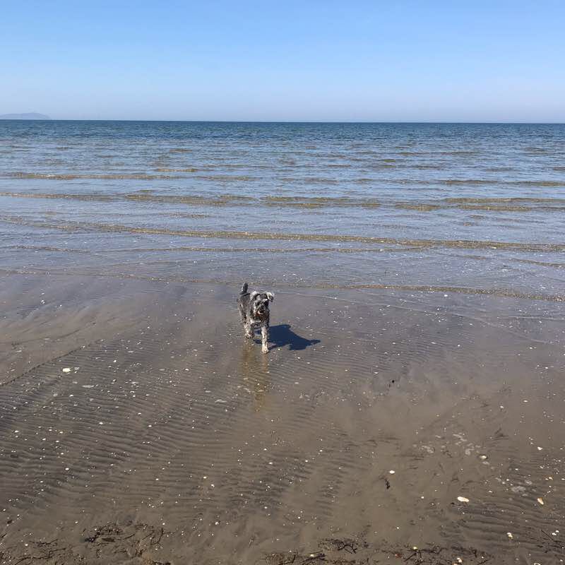 Siberia walking route map in Ängelholm