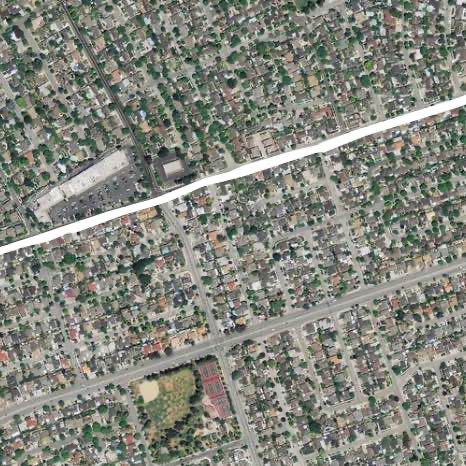 Creatures of the night