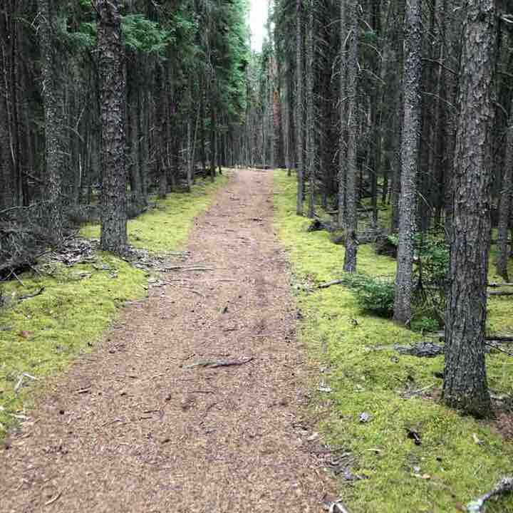 Fisher Trail walking route map in Waskesiu Lake