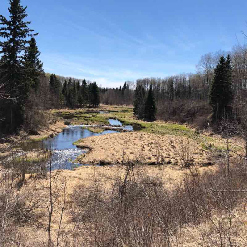 Mud Creek Trail walking route map in Waskesiu Lake