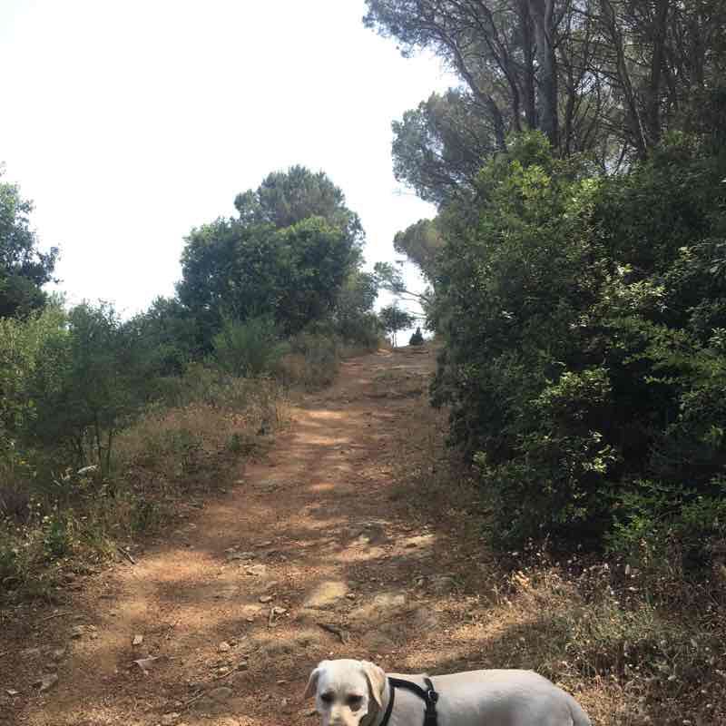 Ugolio walking route map in Nuoro