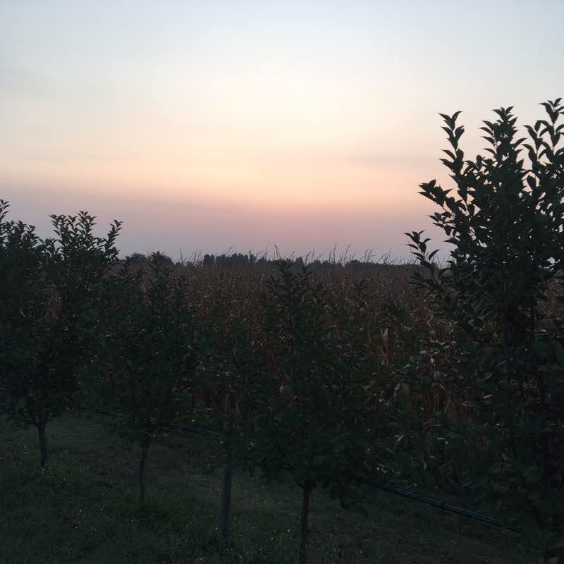 Ca del Rio walking route map in FORMIGINE