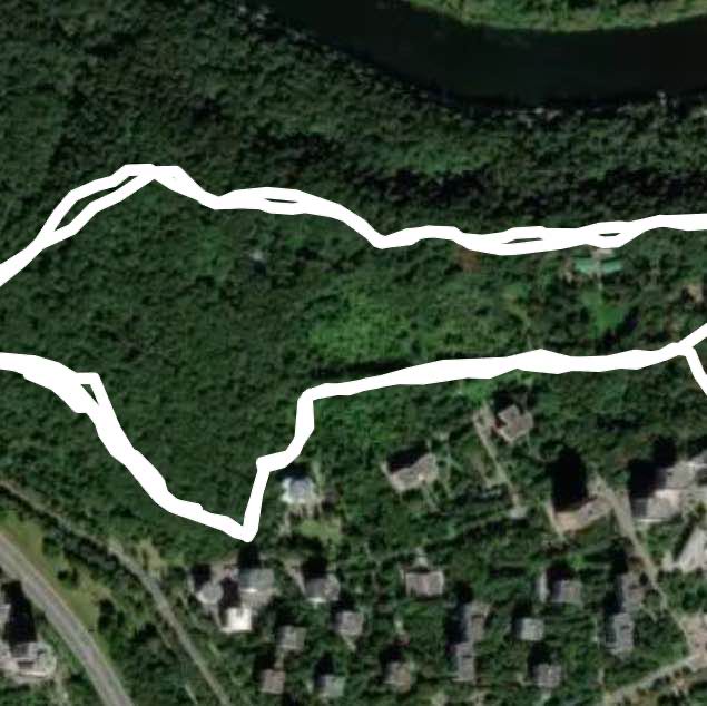 Нарышкинский пруд в Суворовском лесу.