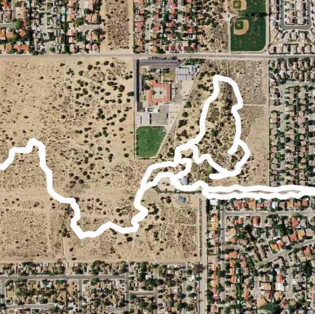 The incredible nature of JOSHUA TREE at Antelope Valley prime desart woodland preserve .