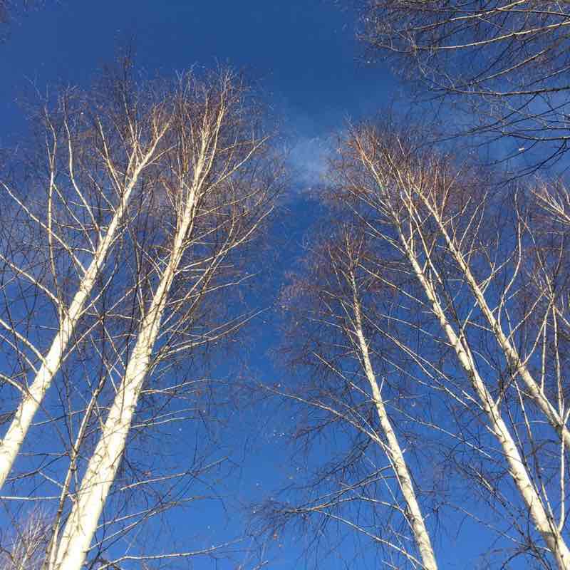 Последний день осени в Самаре