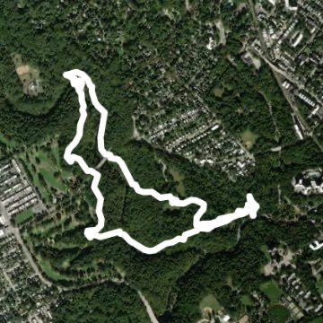 Reverse Yellow/Orange