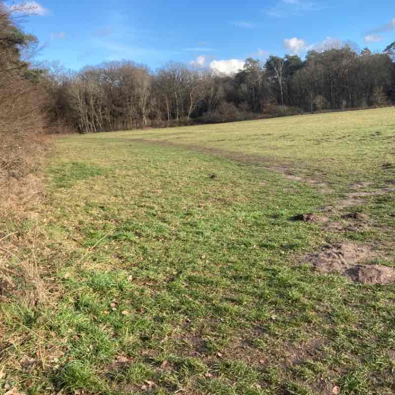 Rund um Hundewiese / Kuhweide Tierheim Dellbrück