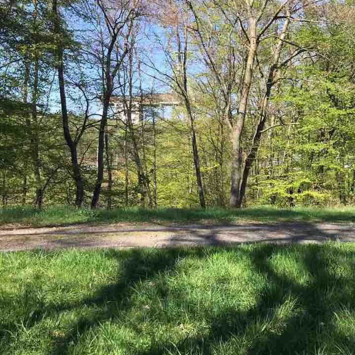 Reward Remo walking route map in Oberhonnefeld-Gierend