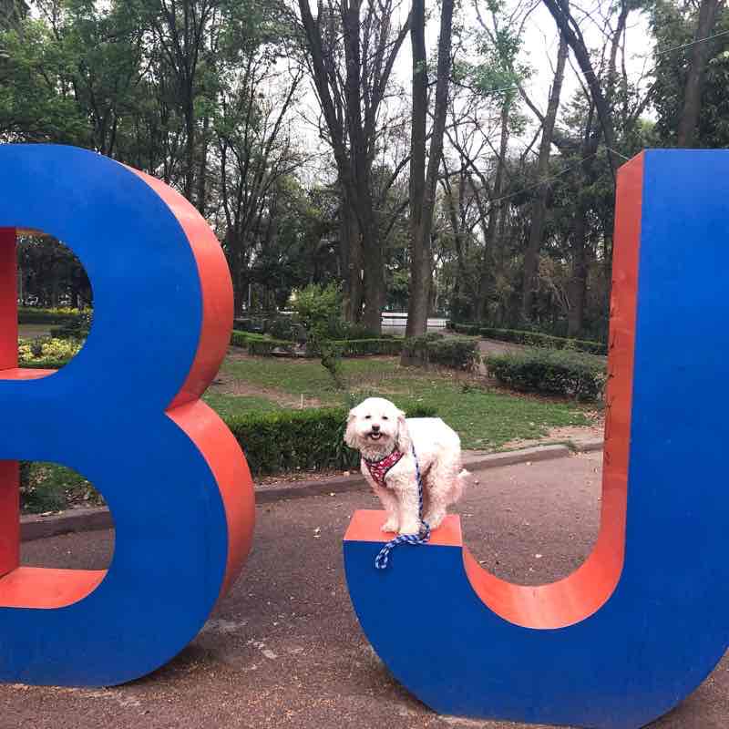 Parque de los Venados