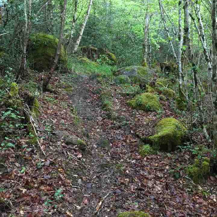 Dam of the triouzoune walking route map in Liginiac