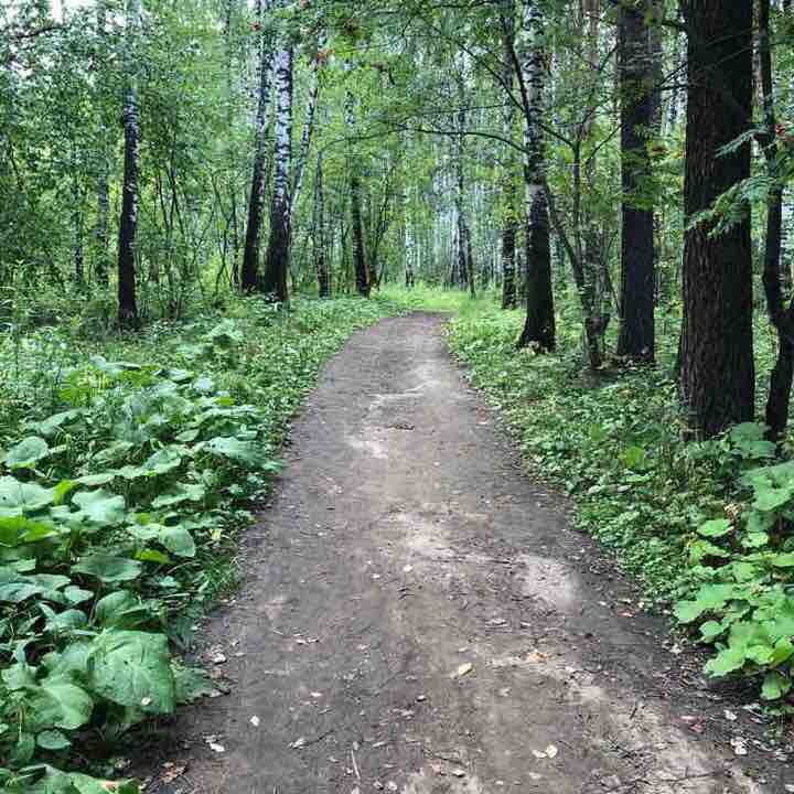 Path in the forest walking route map in Miass