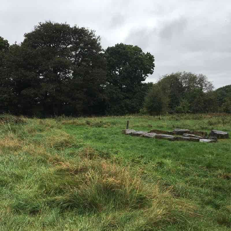 Low Burnhall Woods Walk Trail County Durham, Durham, England Pacer