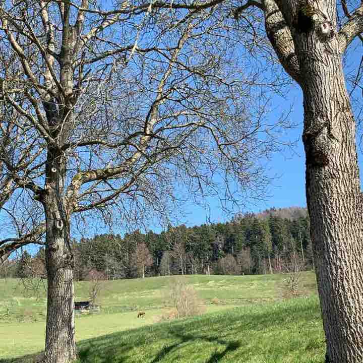 Oberdiessbach nach Konolfingen