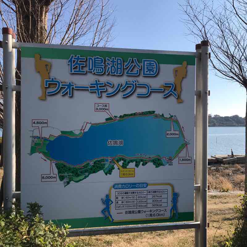 佐鳴湖ウォーキングコース