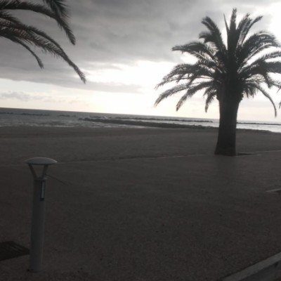 Ascoli piceno e provincia Gabriele post image