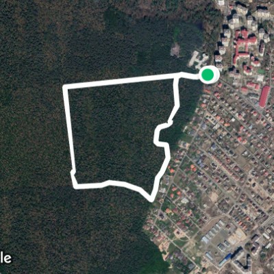 Прогулянка по колу в лісі