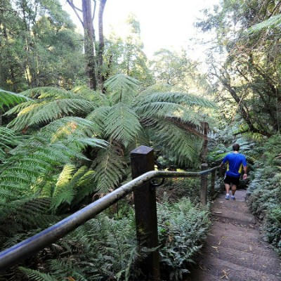 Beck Morrison post 1