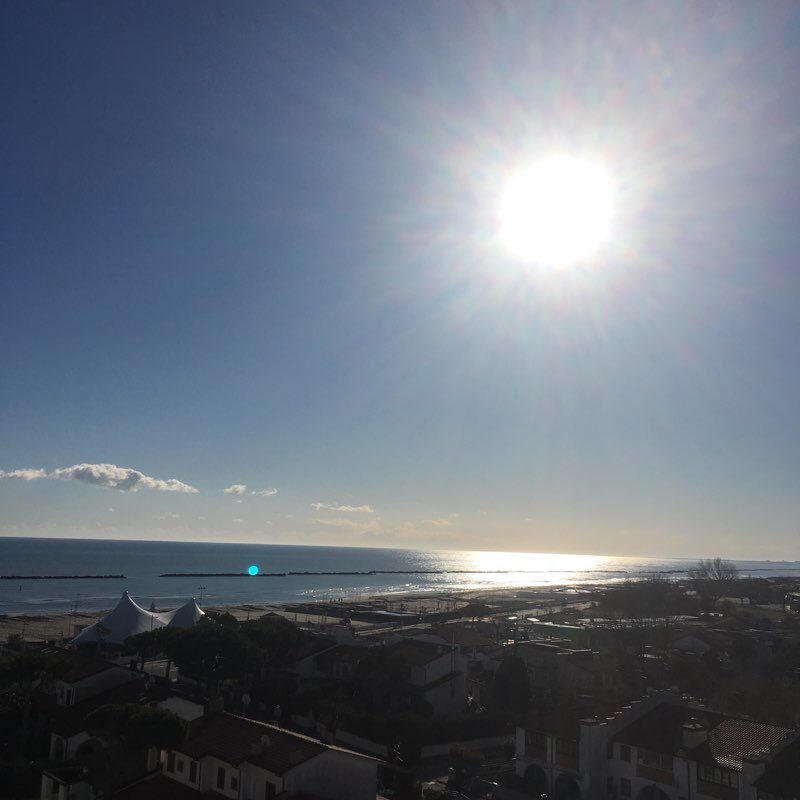 Pineta along the sea walking route map in Lido di Volano