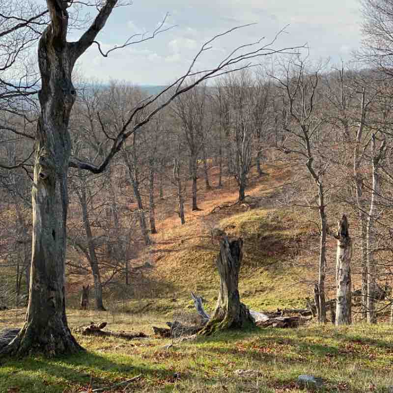 Black Bank pt .2 walking route map in Honeywood