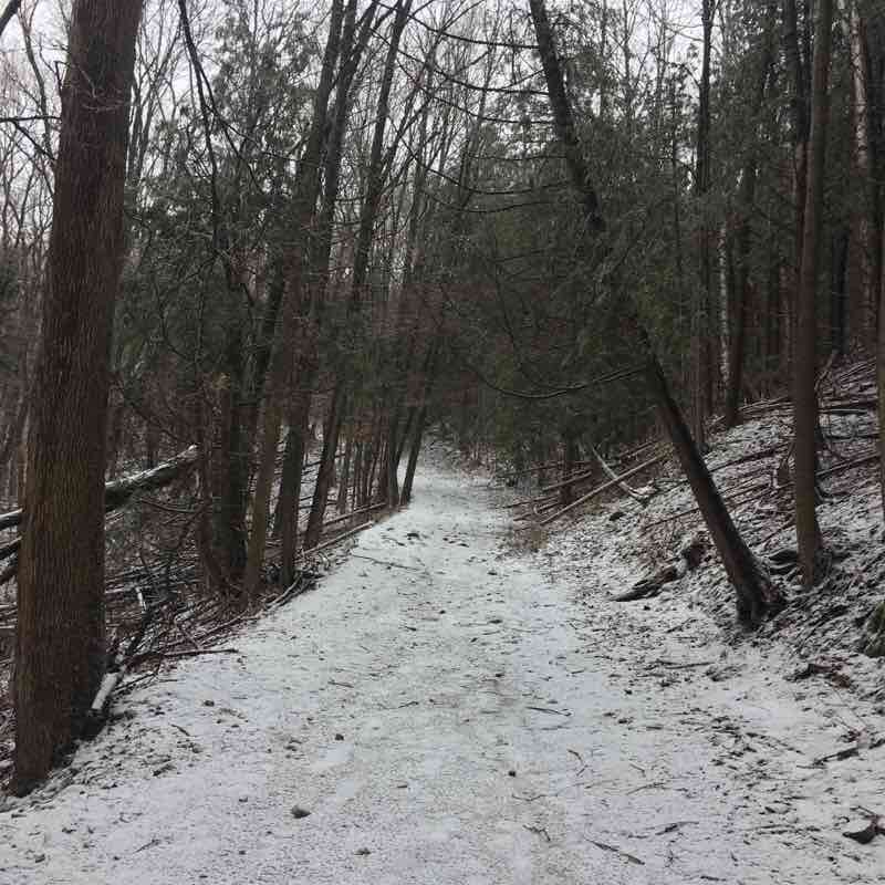 Boyne River Valley out and back . Walk Trail Mulmur, Ontario, Canada