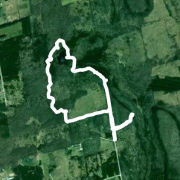 walk in the rain- Lake McCarsten loop