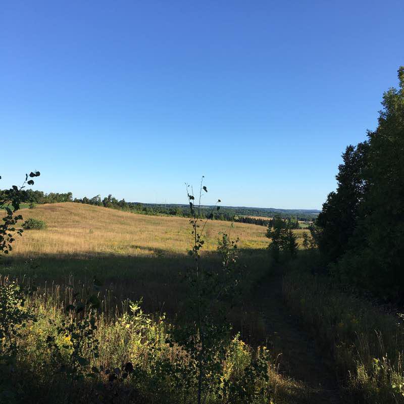 Mono 1st line to 30th sdrd walking route map in Shelburne