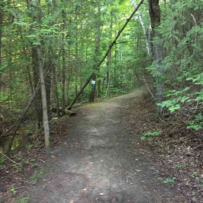 Murphy's Pinnacle Hike Trail Mulmur, Ontario, Canada Pacer