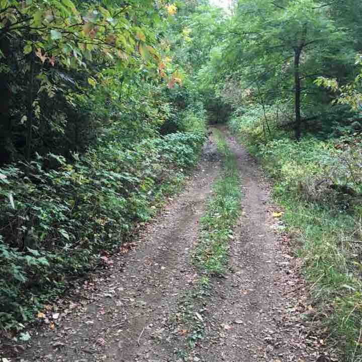 Mulmur Walk Trail Ontario, Canada Pacer