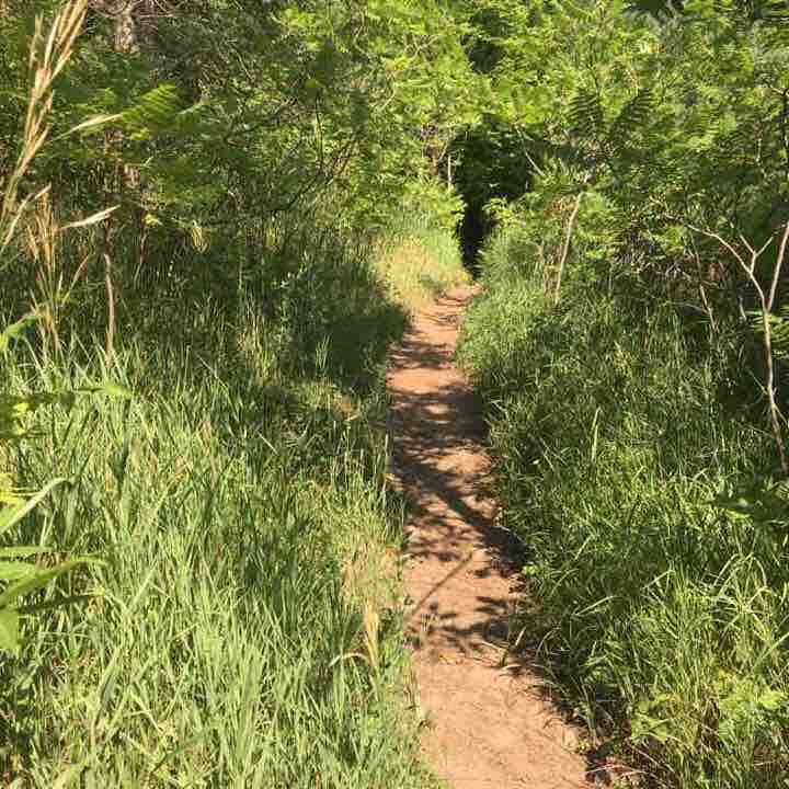 Bruce Trail 