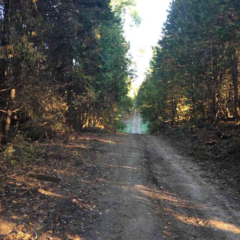 Lavender Hike Trail Mulmur, Ontario, Canada Pacer