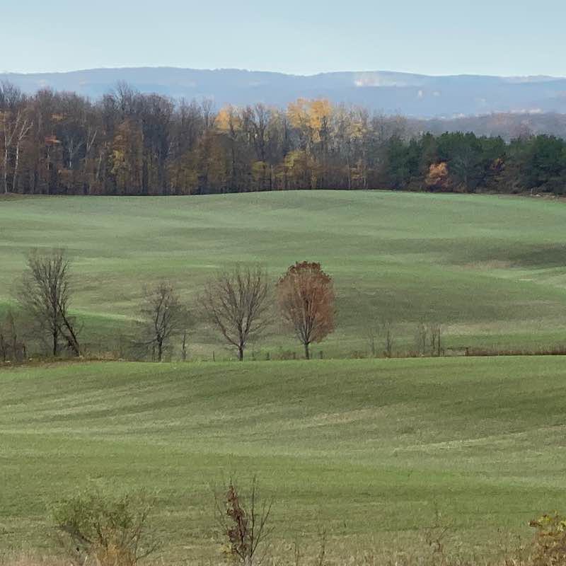 Black Bank walking route map in Honeywood