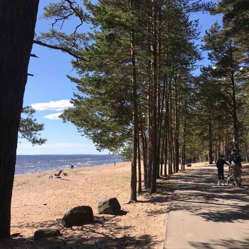 Велодорожка вдоль залива