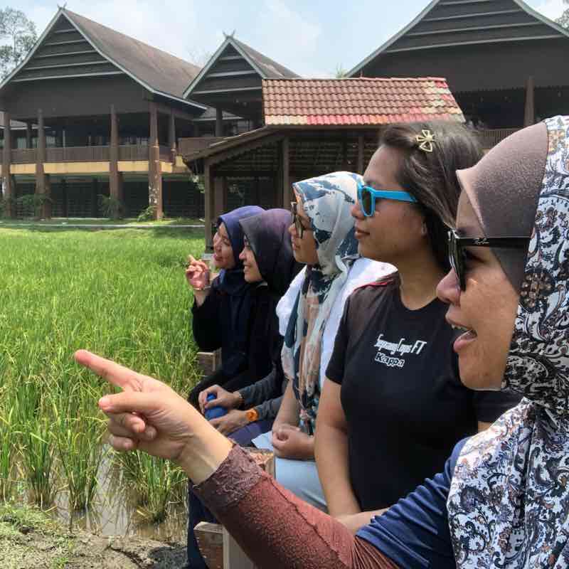 Bukit Dinding