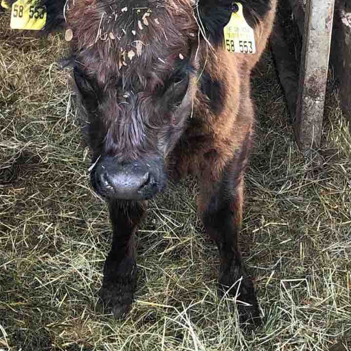 Aufundab walking route map in Wäschenbeuren