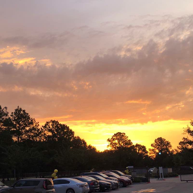 Nottingham Green belt