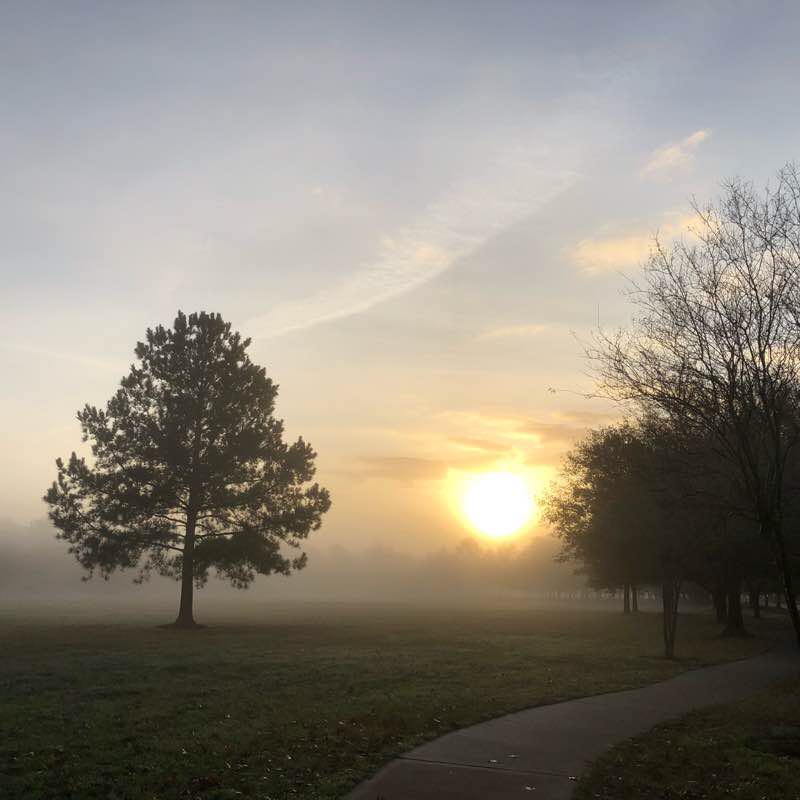 Nottingham Green Belt Park