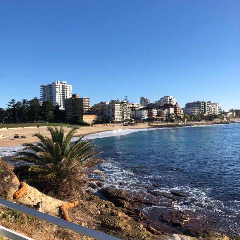 Connells point to cronulla walking route map in Hurstville Grove