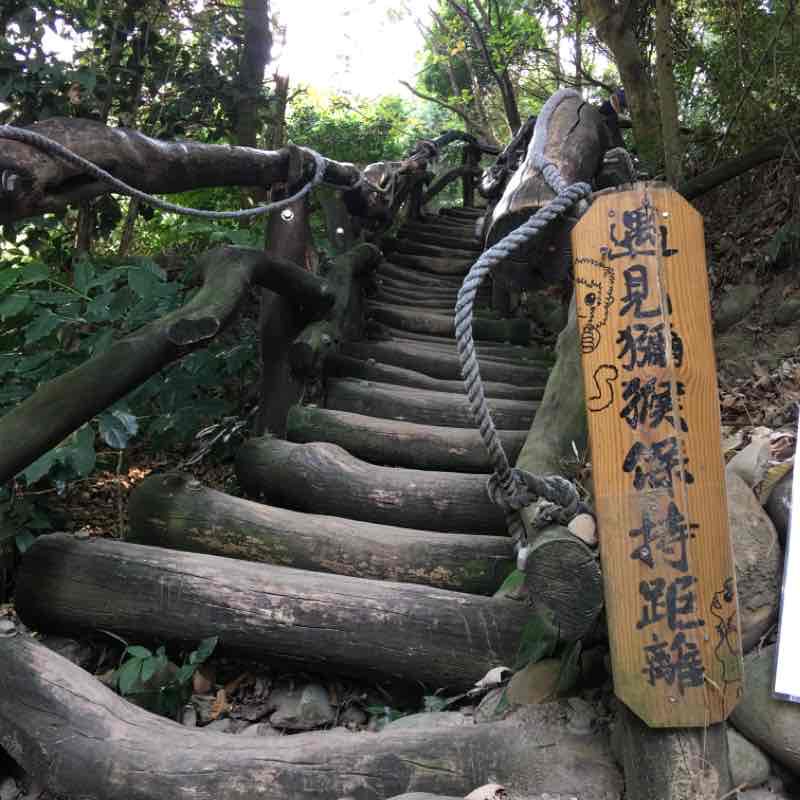 大坑四號步道