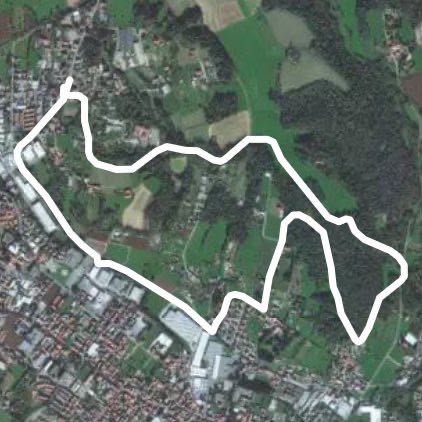 Fecchio varenna boschi