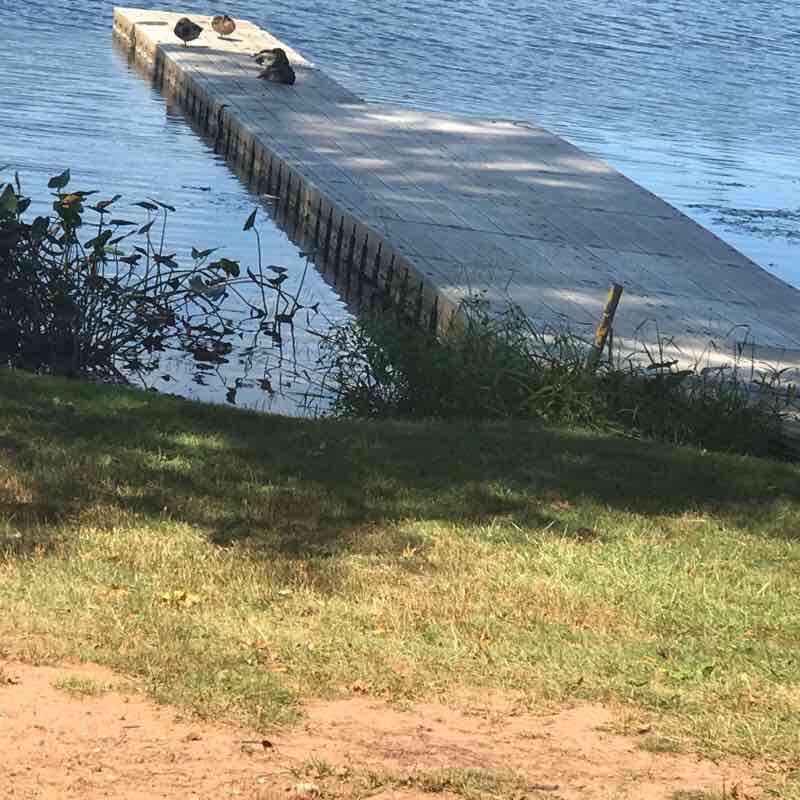 Congers lake Walk Trail New York, USA Pacer
