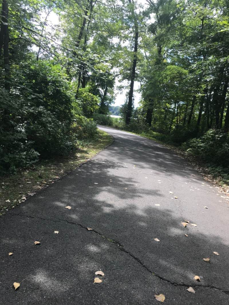 walking near me on 콩 거스 호수 walking route