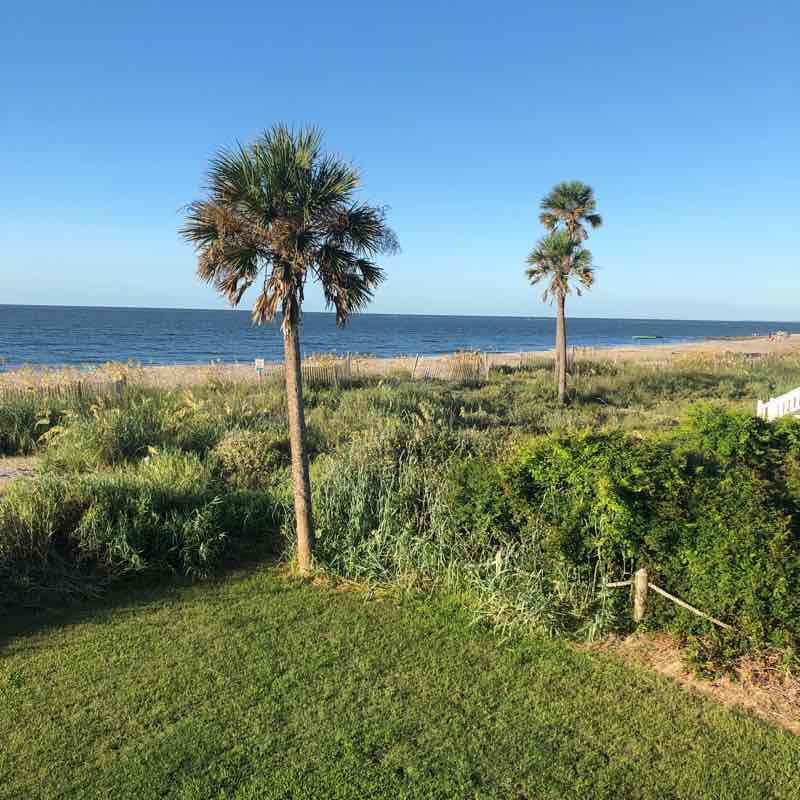 Edisto Island Walk Trail South Carolina, USA Pacer