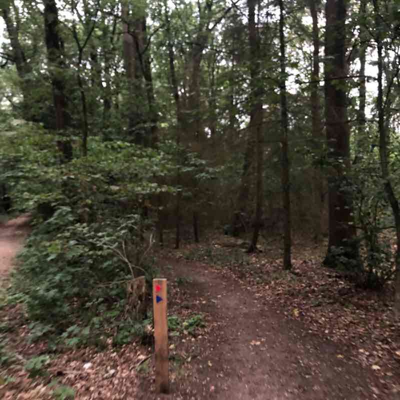 Stadtwald Joggerstrecke walking route map in Bocholt