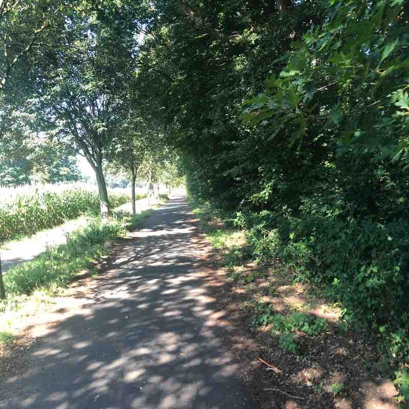 Schürnbuschweg / Wäldchen / Bahia